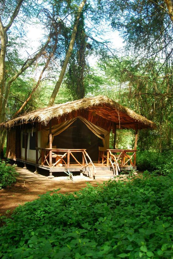 Migunga Tented Camp Mto wa Mbu Exterior foto