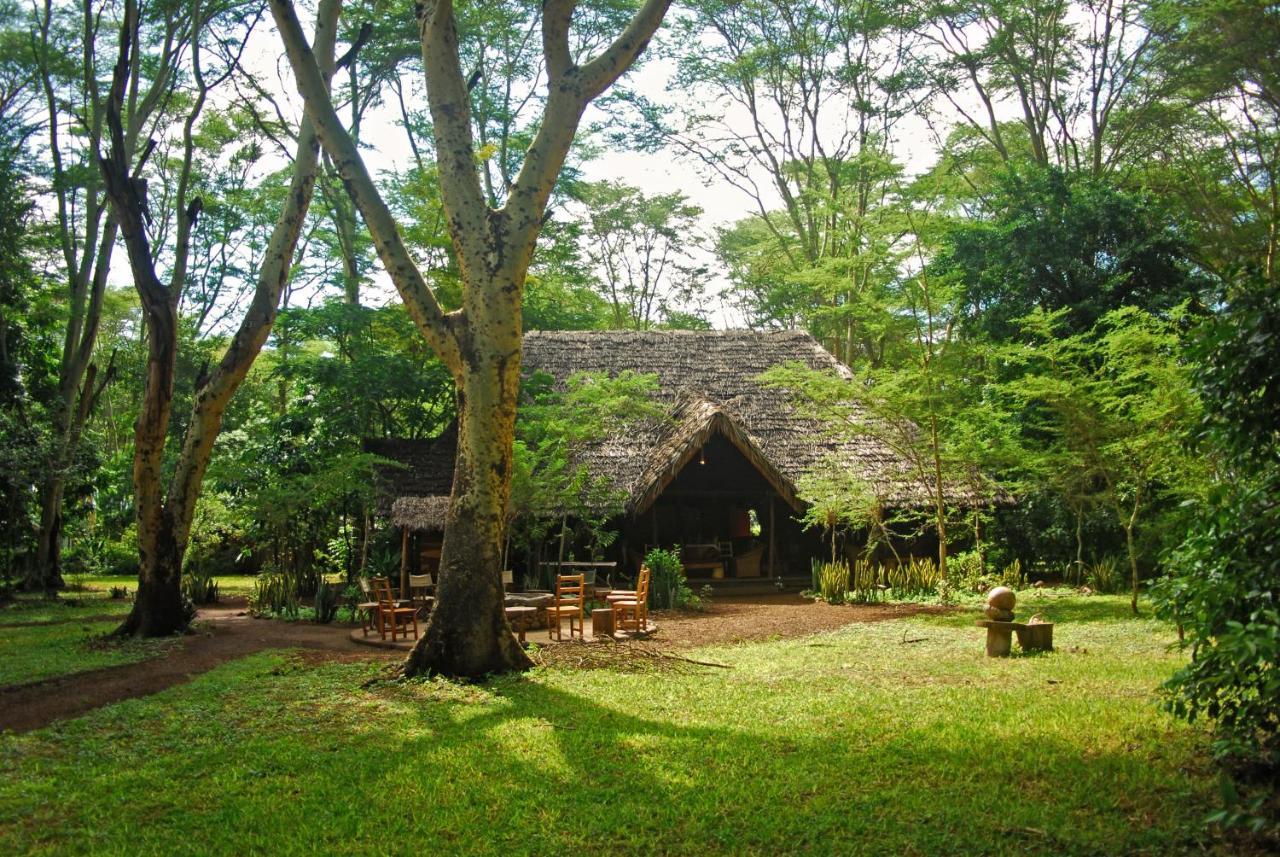 Migunga Tented Camp Mto wa Mbu Exterior foto